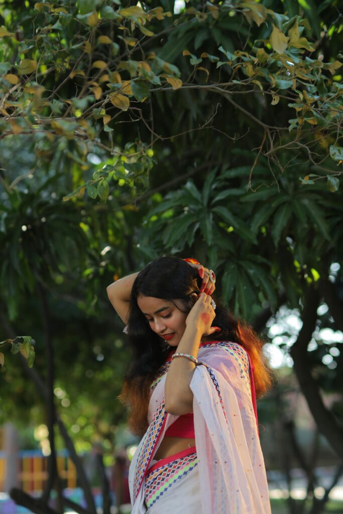 traditional sarees